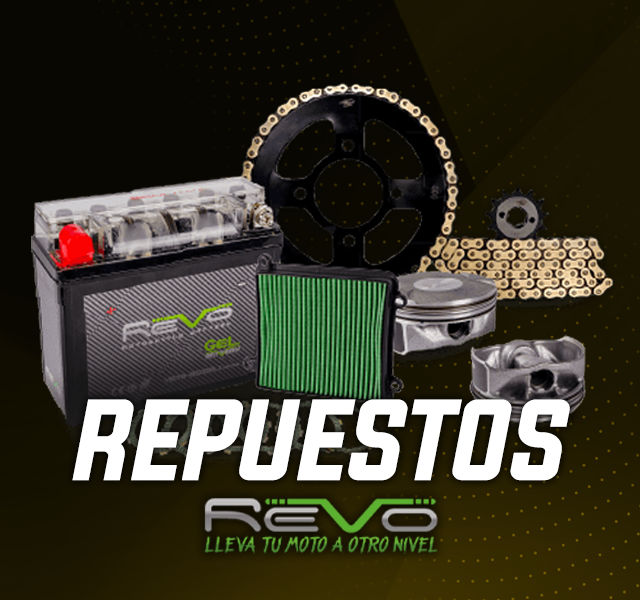 Imagen descriptiva 13