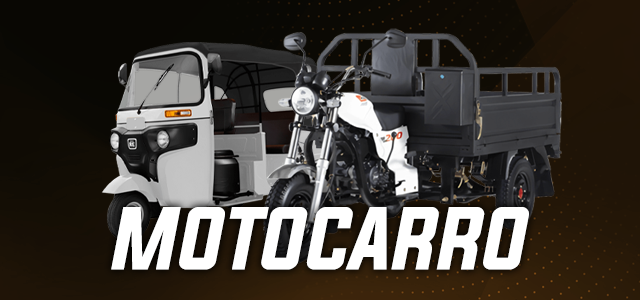 Imagen descriptiva 14